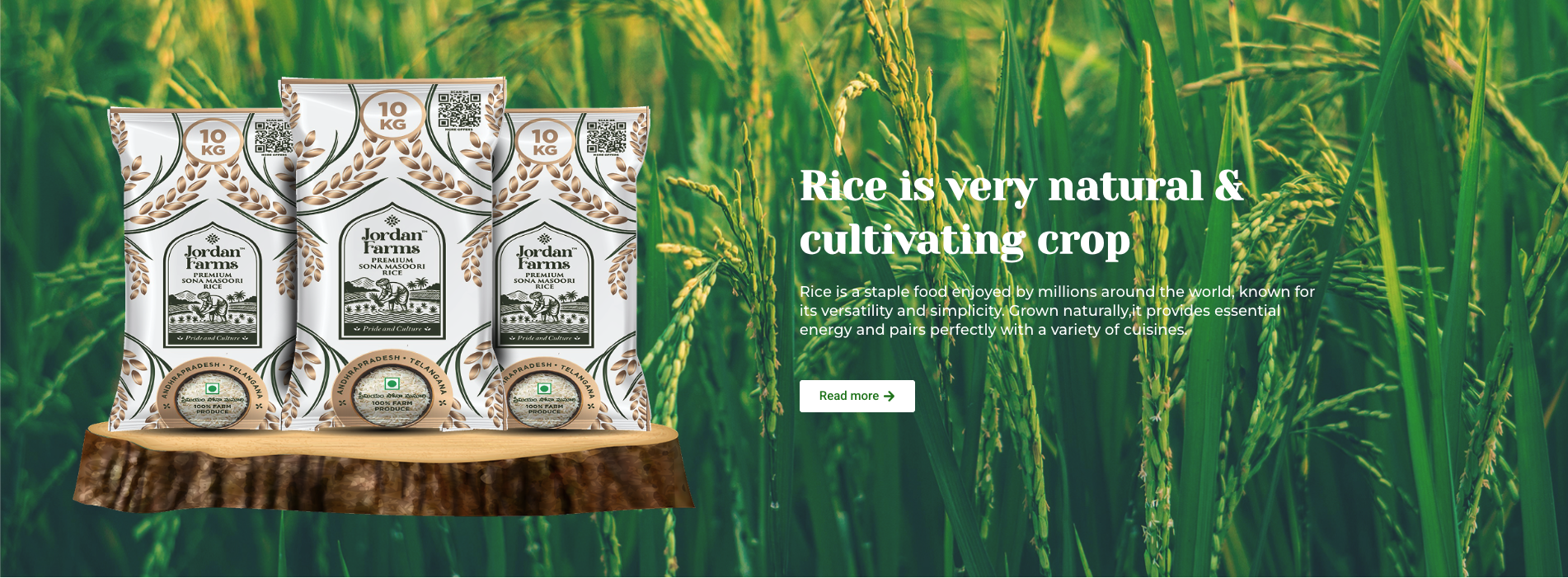 Screenshot 2025-09-17 at 11.33.58 PM